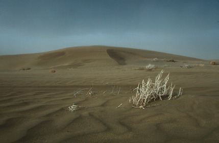 Dunes Words