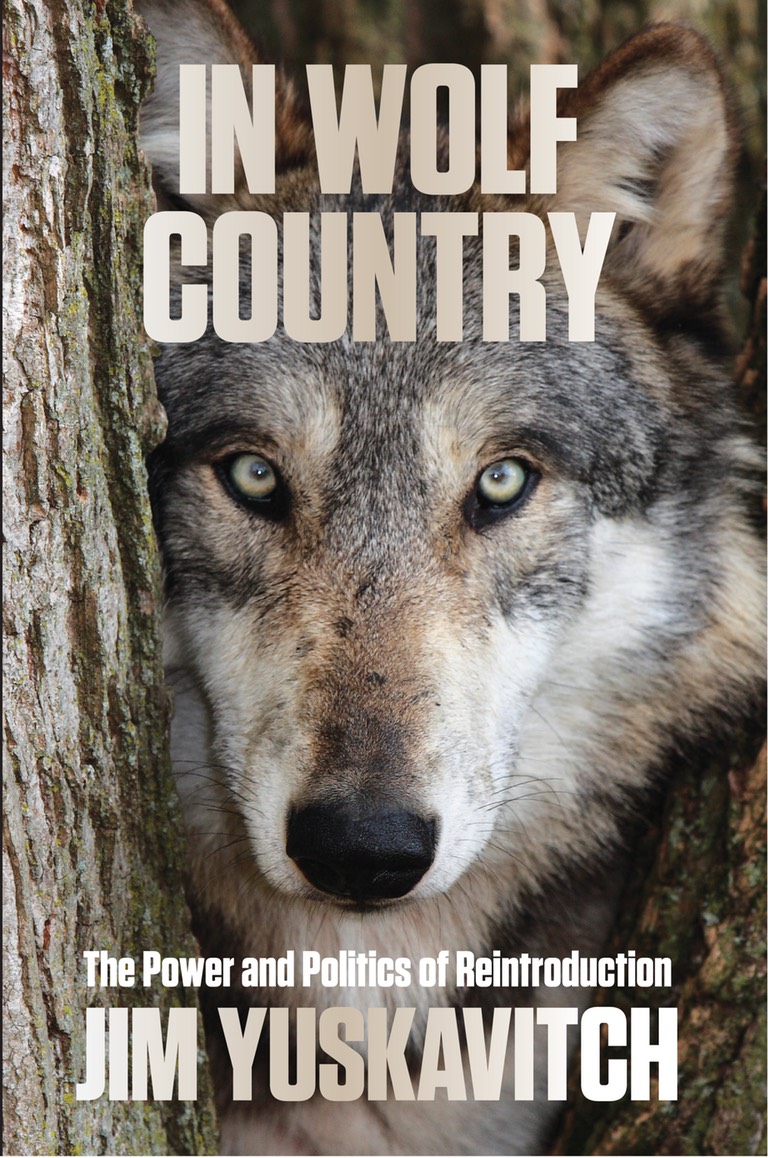In Wolf Country Single Cover