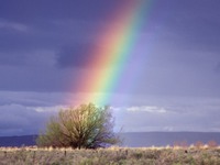rainbowWebP